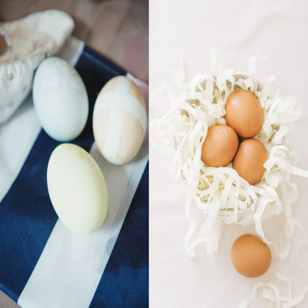 콜레스테롤과 고지혈증의 관계와 차이