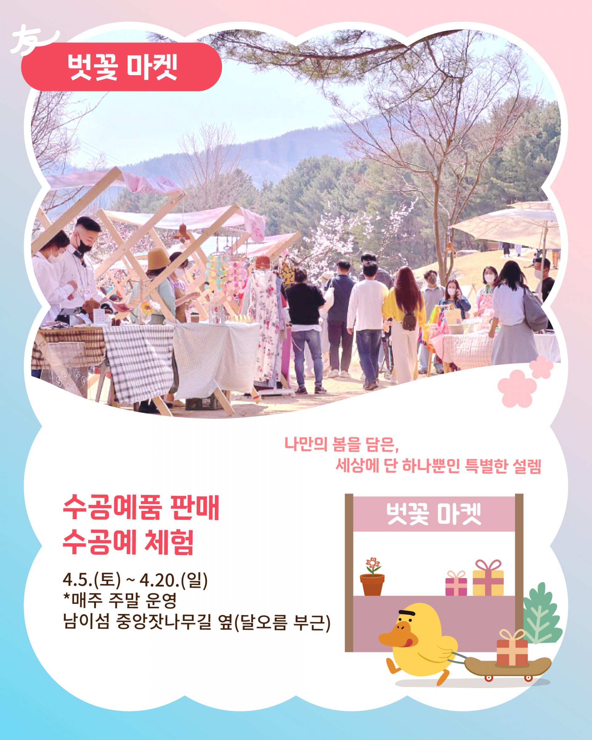 춘천 남이섬 벚꽃축제 일정 및 프로그램
