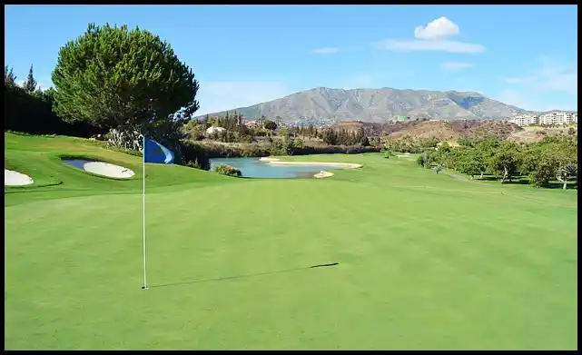 파크골프 용어 정리 (+ 해설 )