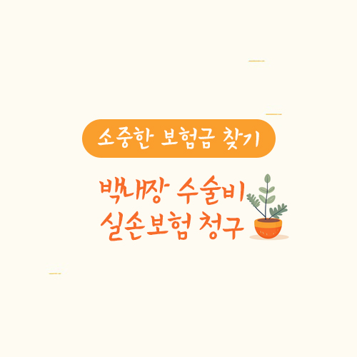 백내장 수술비 실손보험 청구 사례