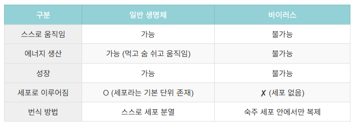 바이러스의 특징