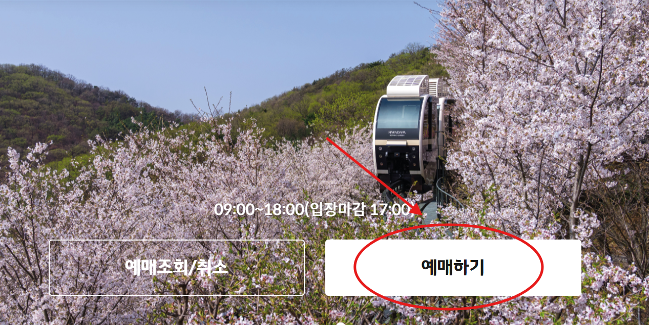 모노레일 예약