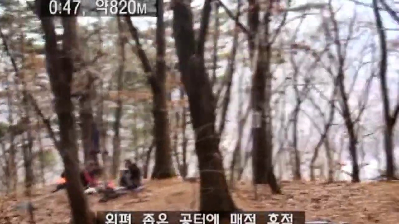 낙엽송 사이 넓어진 숲 바닥에서 쉬는 일행