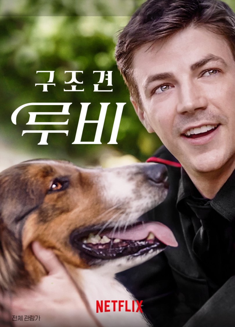 넷플릭스 구조견 루비 포스터