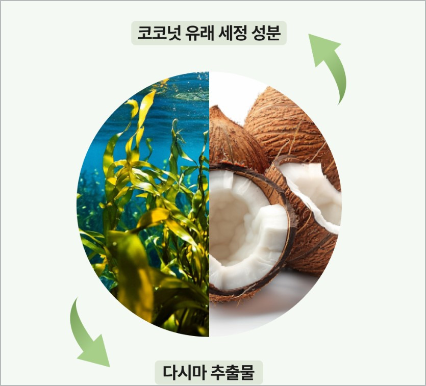 다시마 뿌리 샴퓨 다시 인기 성분 효과