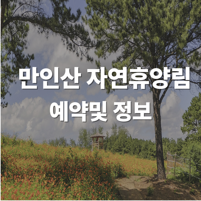 만인산 자연휴양림 이용 방법 예약, 위치, 맛집까지