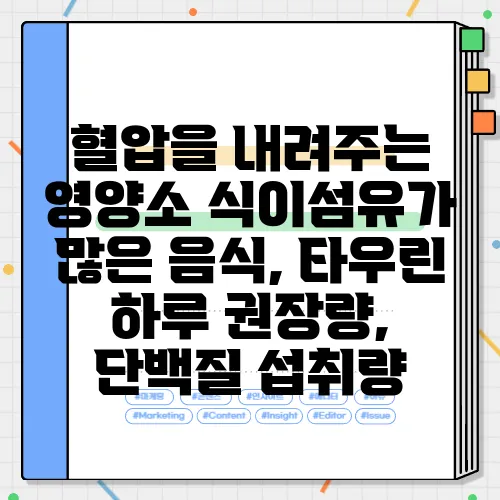 혈압을 내려주는 영양소 식이섬유가 많은 음식, 타우린 하루 권장량, 단백질 섭취량