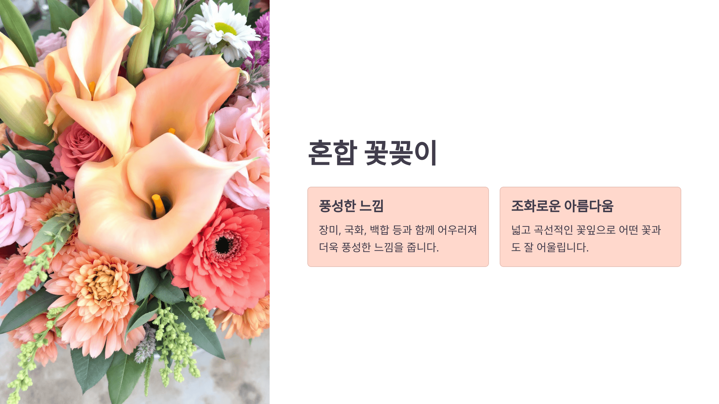 카라꽃 사진입니다.