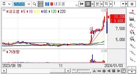 네오셈-주가차트