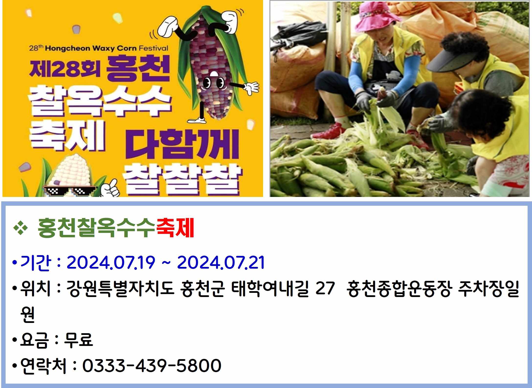 홍천찰옥수수축제