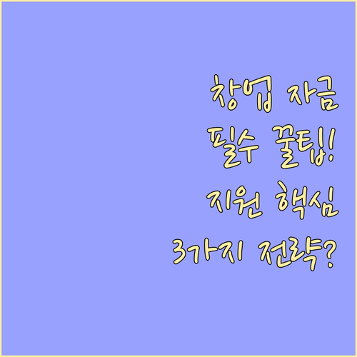 창업 초기 자금 지원 프로그램과 확보..