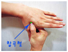 만성피로 혈자리 지압법