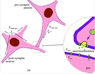 뉴런 사이의 시냅스에서 신호가 전달되어 기억 형성하는 일러스트