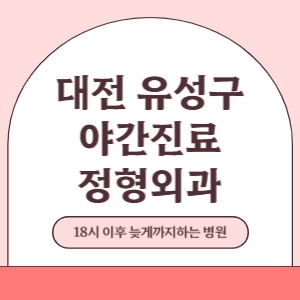 대전 유성구 야간진료 늦게까지 하는 정형외과 병원 (18시 이후 늦게까지하는 병원)