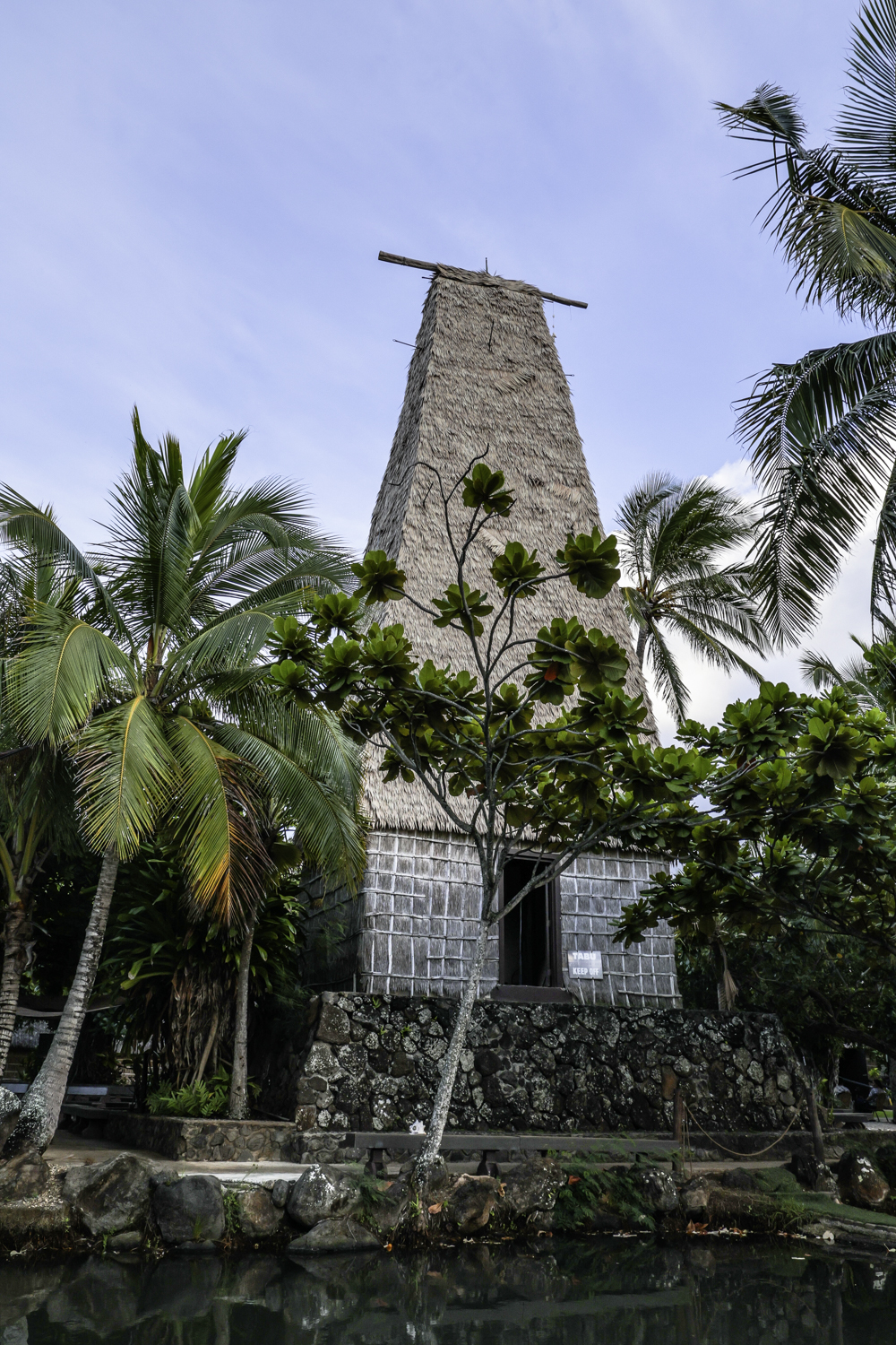 타히티 족장의 집