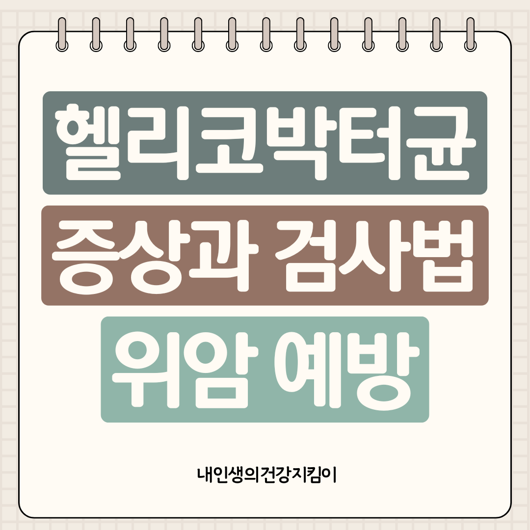 헬리코박터균 증상과 검사법, 위암 예방을 위한 제균 치료 시기