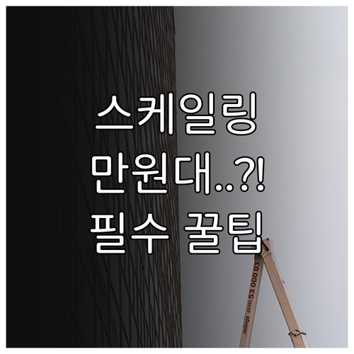 치과 스케일링 건강보험 혜택: 실제 ..