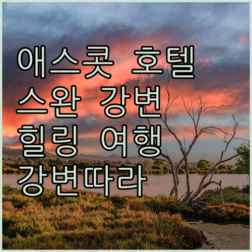 애스콧 호텔 추천 스완 강변 따라 즐..
