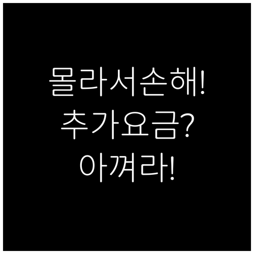 아시아나항공 위탁수하물, 몰라서 내는..