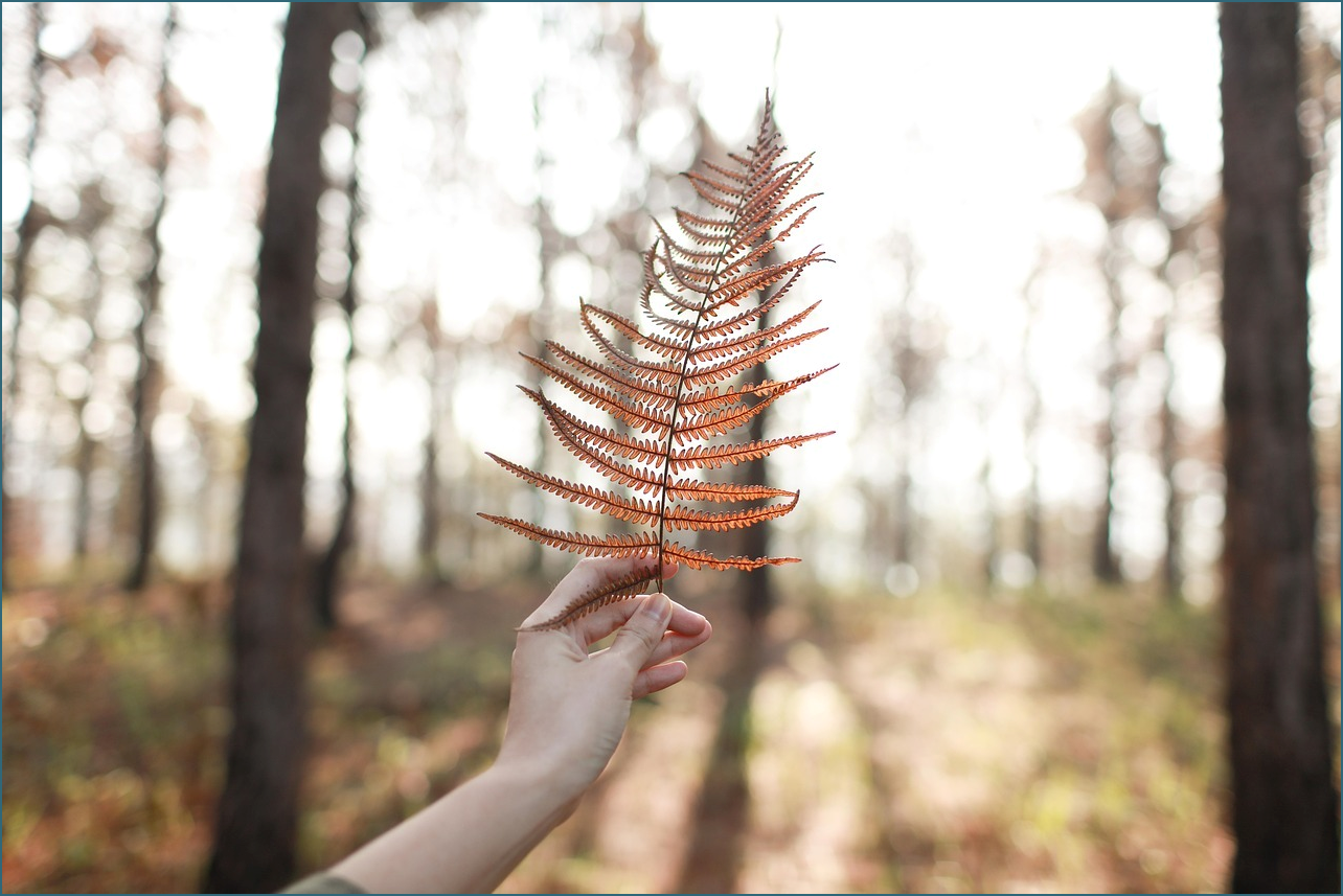 타자연습 바로가기