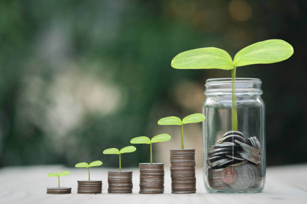 2025년 PSQ 투자 가이드