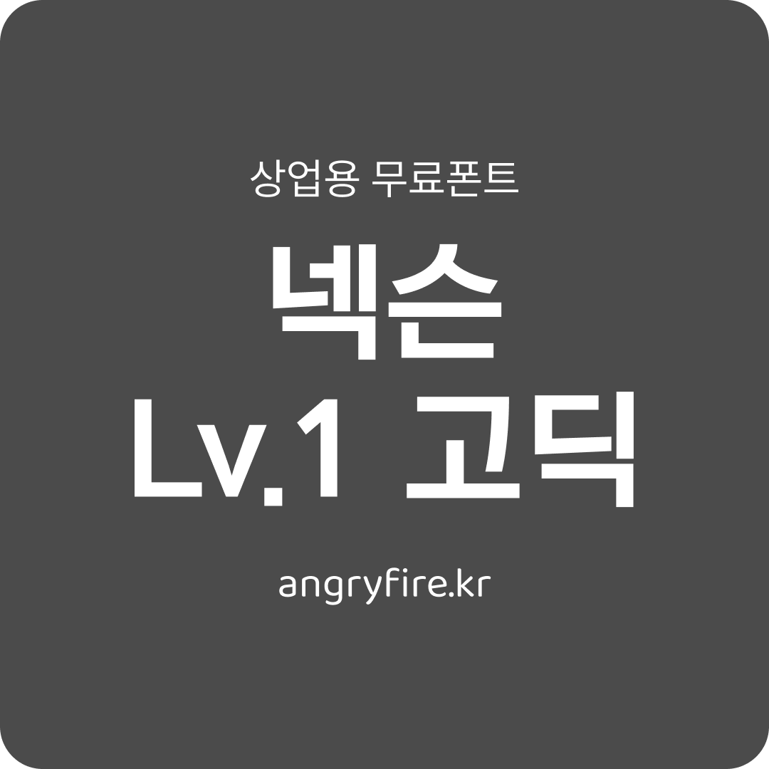 넥슨 Lv.1 고딕