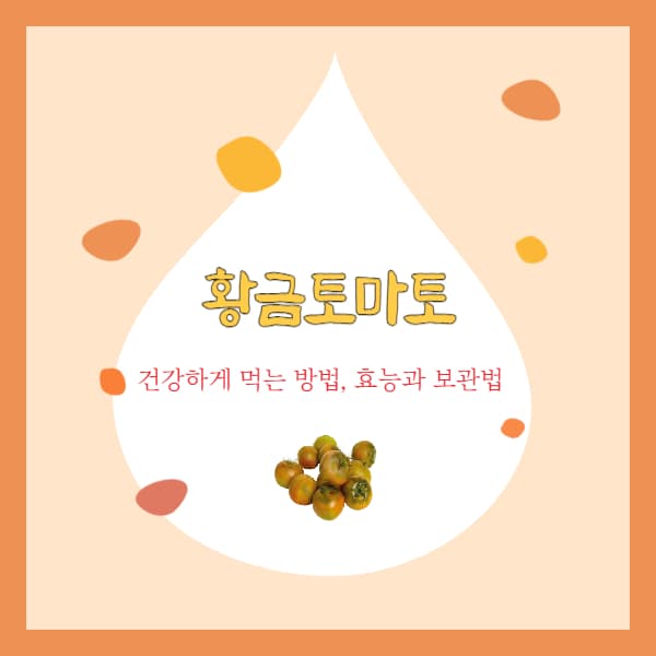 황금토마토-효능