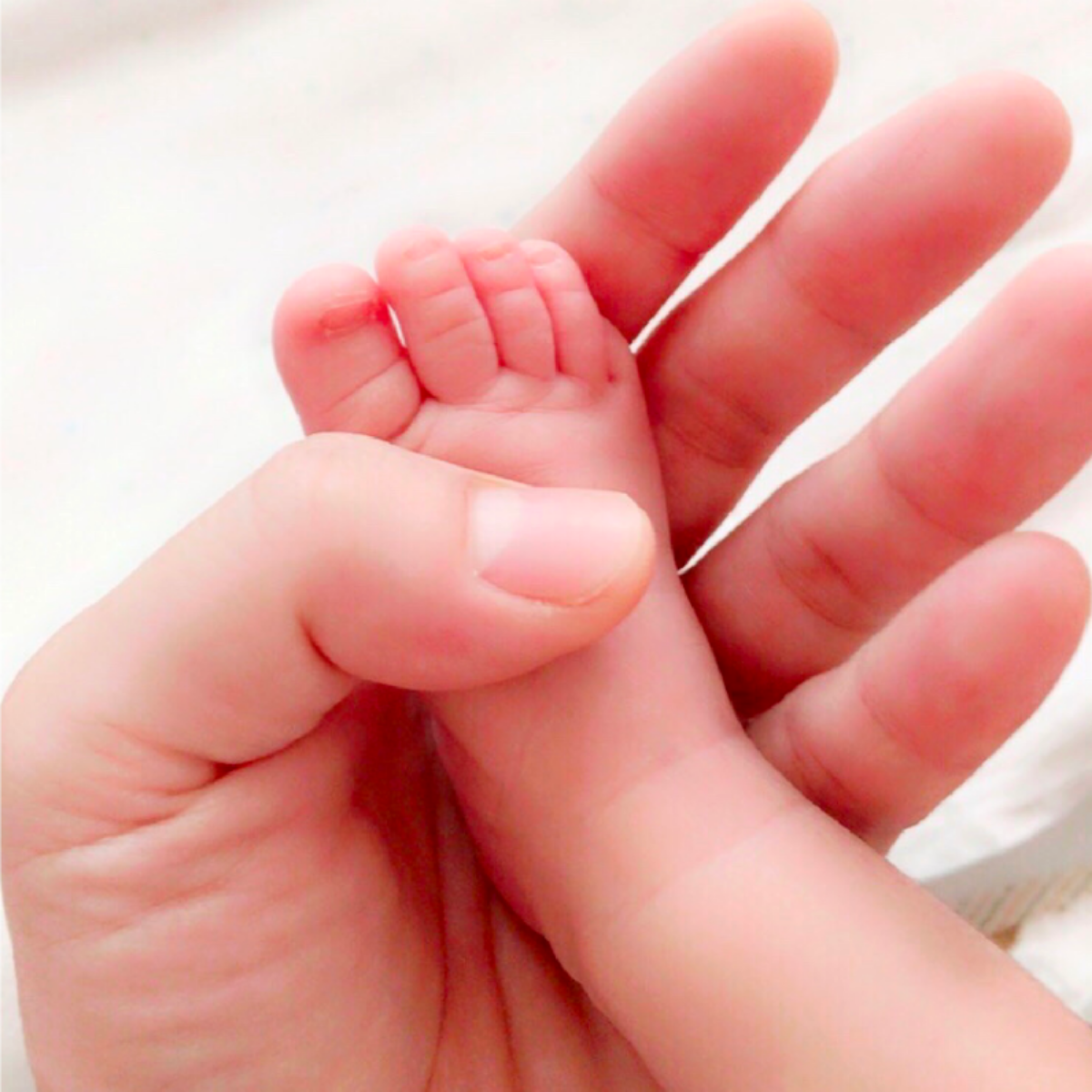 어른손 안에 아기 발 하나.