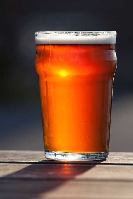 맥주 효모 효능 탈모