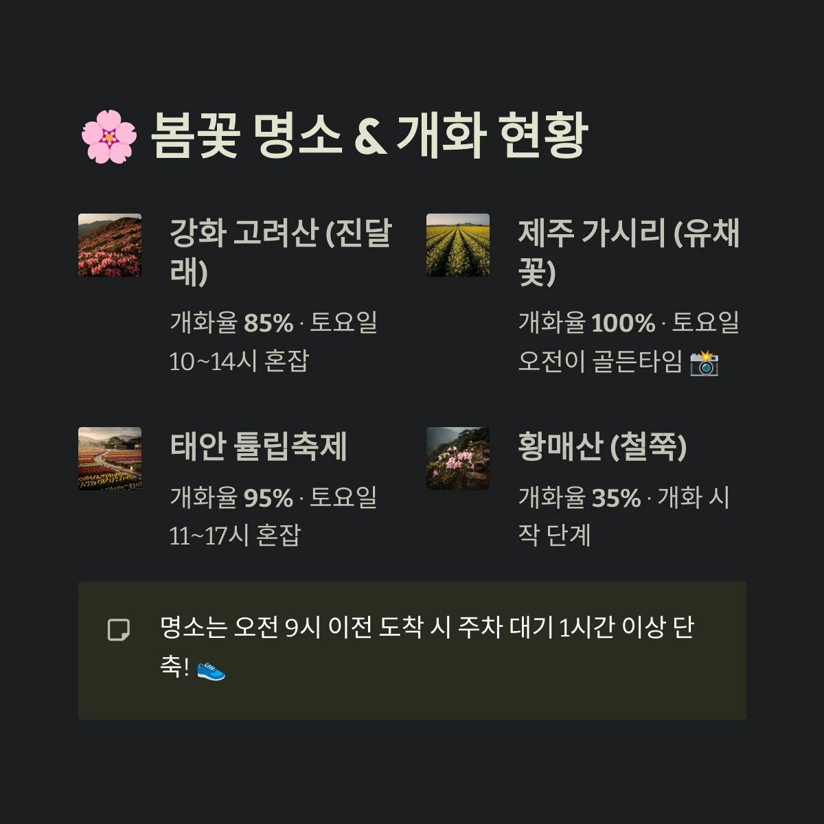 봄꽃 명소 & 개화 현황
