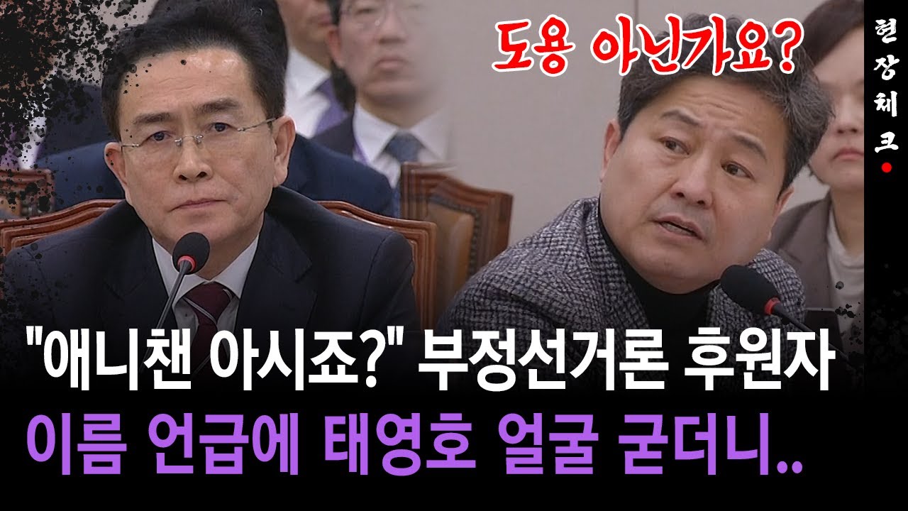 &lt;출처 : OBS뉴스 유튜브&gt; [현장체크] '부정선거론 후원' 큰손 애니챈... &quot;도용된 거 아닌가..&quot; 태영호와 무슨 일이?