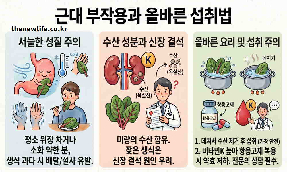 근대 효능 부작용