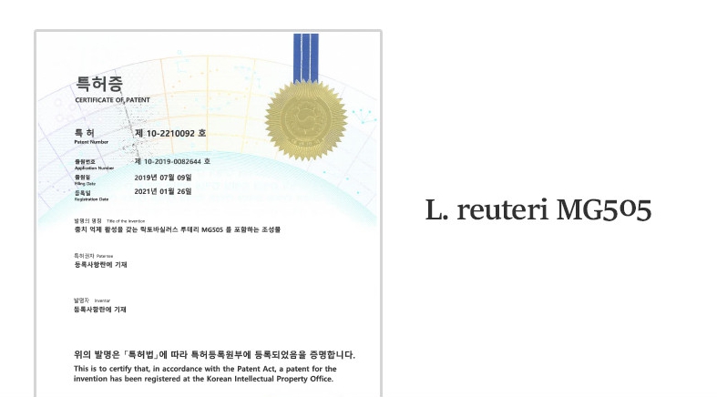 구강유산균