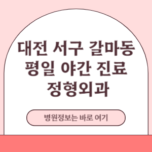 대전 서구 갈마동 평일 야간진료 정형외과 진료 병원