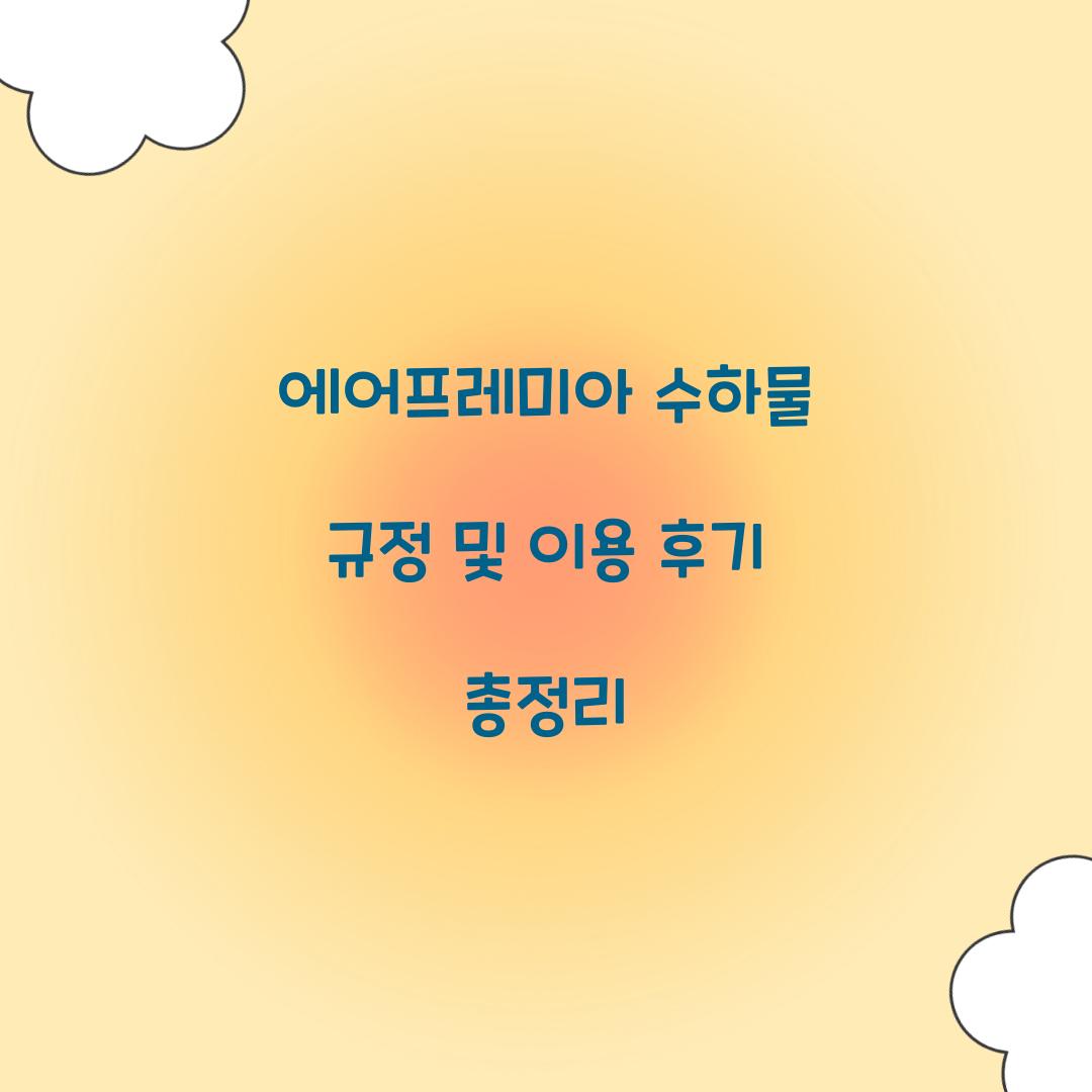 에어프레미아 수하물