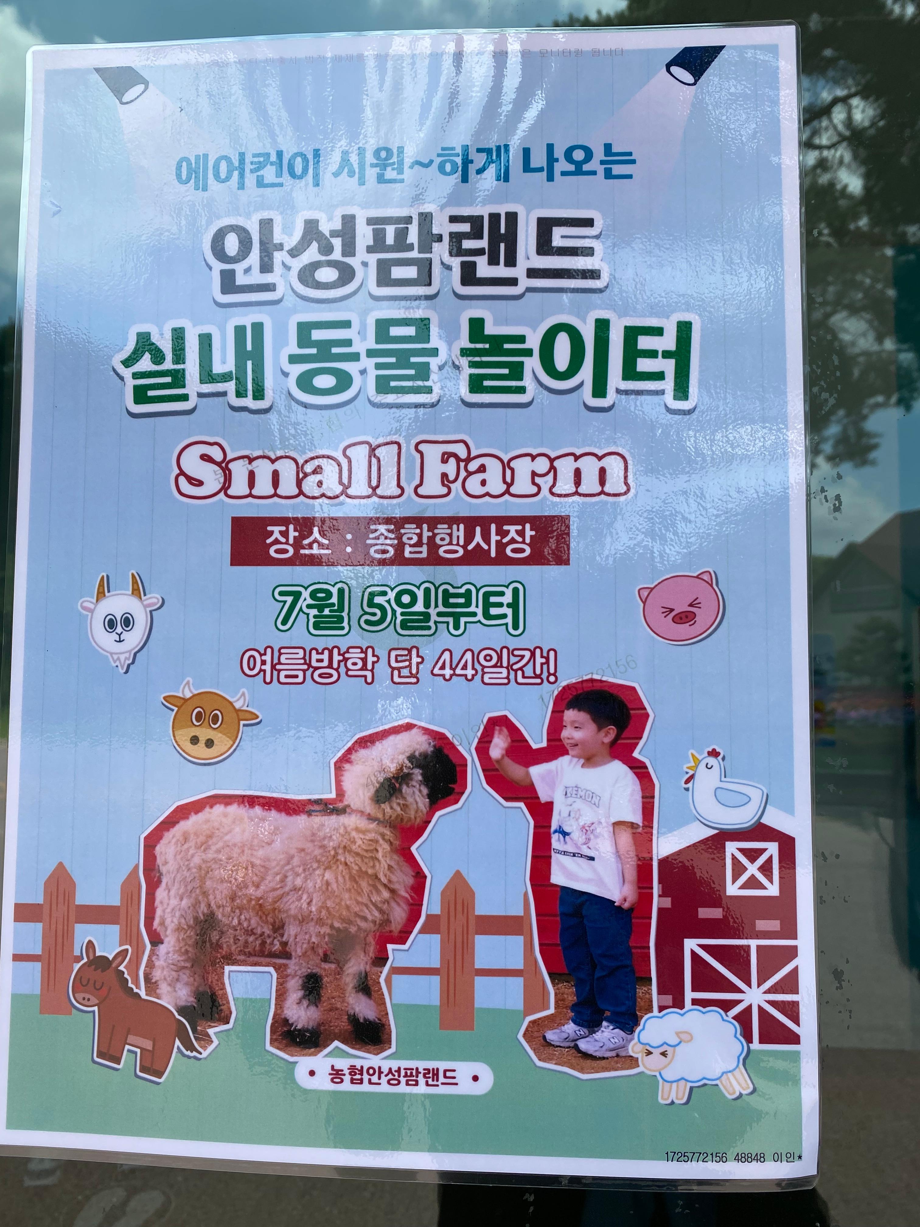 안성팜랜드 실내동물놀이터