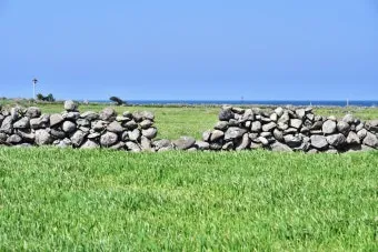 제주 가파도 가는 운진항 배 시간표 요금 예약 예매_20