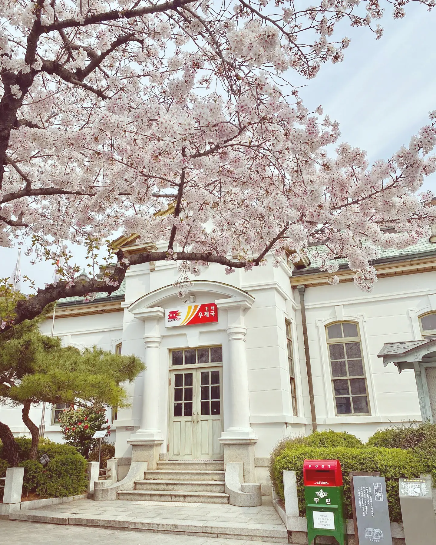 2025 진해 군항제