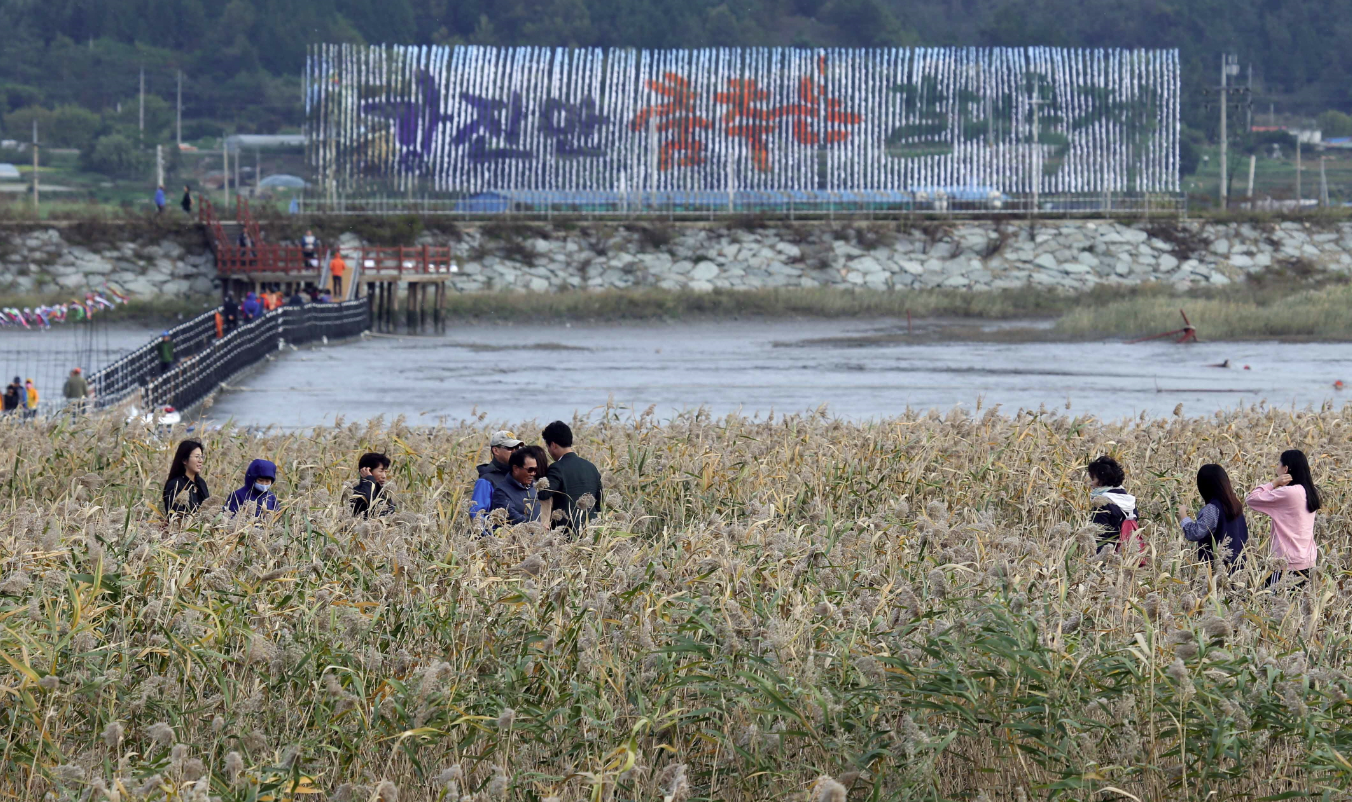 2024 강진만 춤추는 갈대축제 갤러리