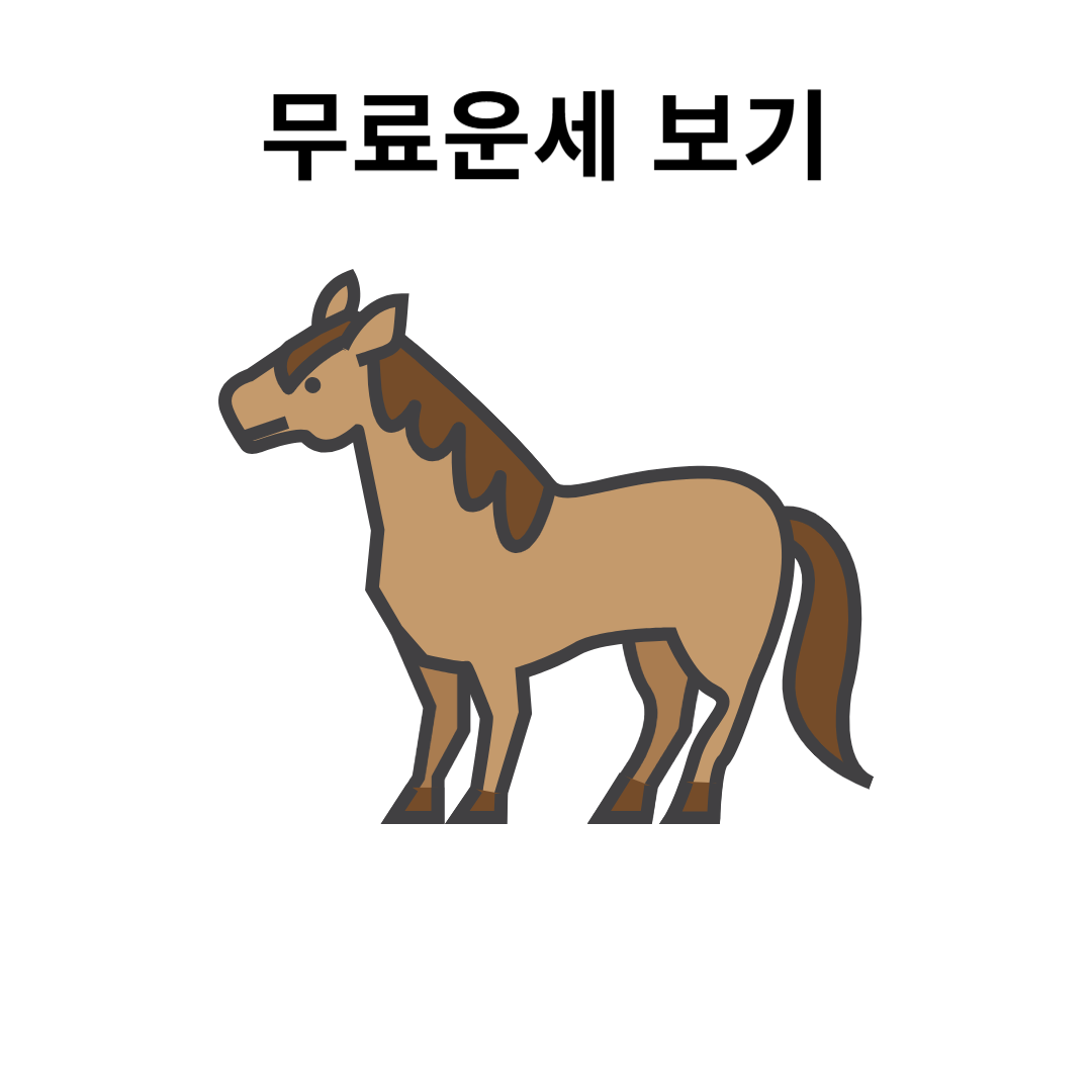 2025년 말띠 운세