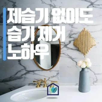 제습기 없이 습기 제거 끝 숯 염화칼슘 등 천연 제습제 활용법 완벽 가이드_27