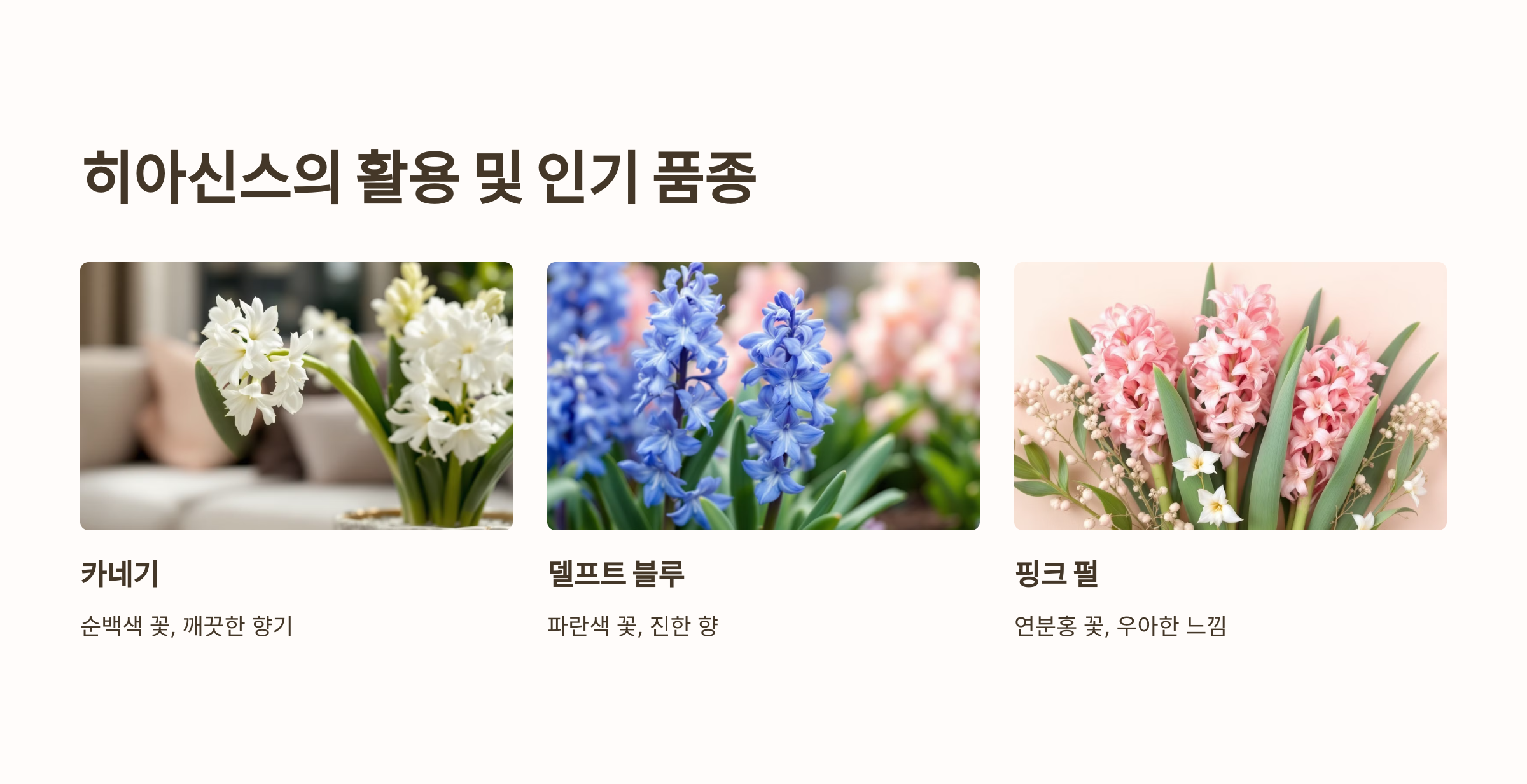 히아신스