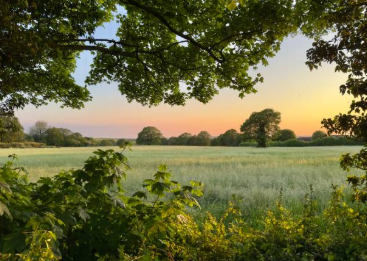 농어촌공사가 관리하는 농업용 저수지와 주변 농경지 전경