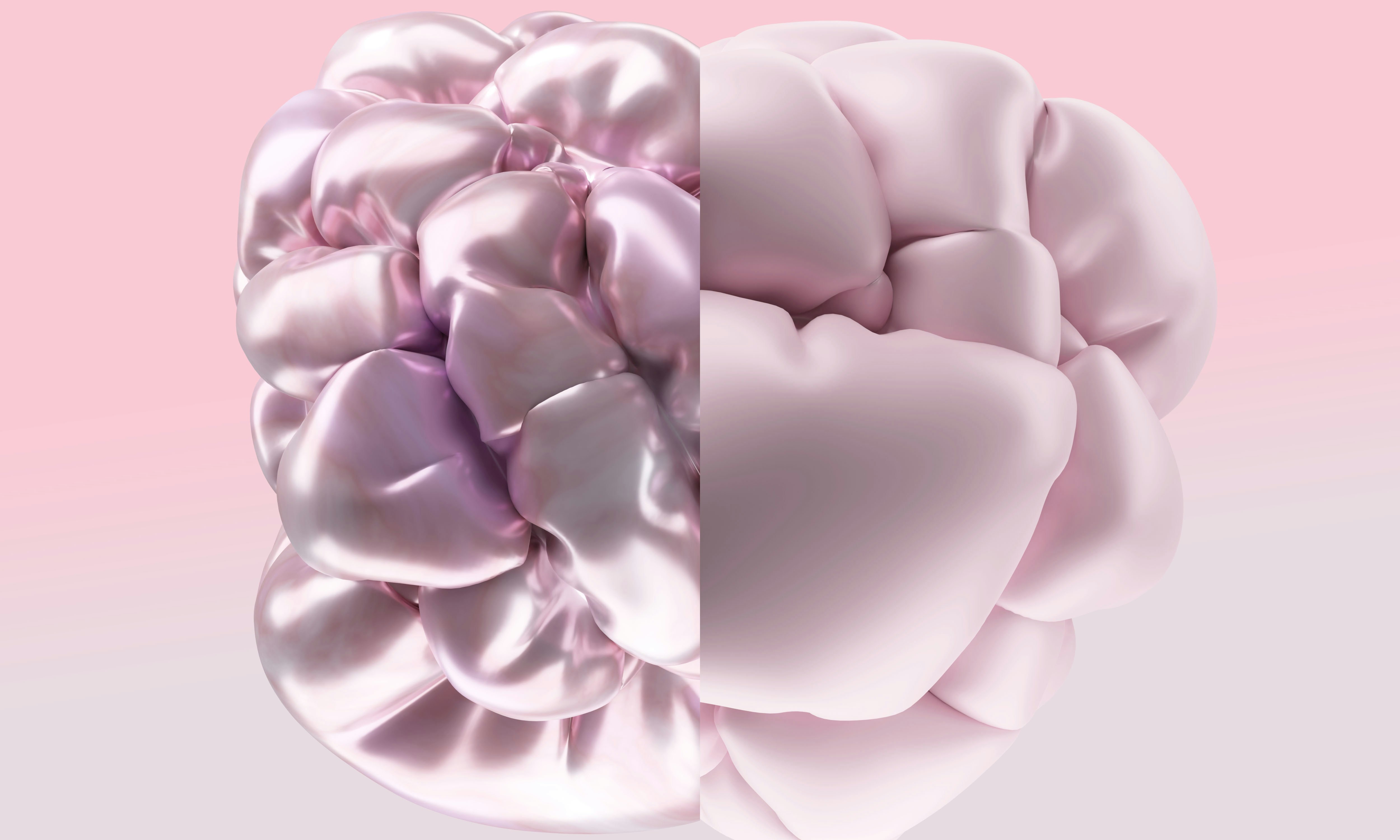 치매자가진단테스트 초기증상과 단순건망증 예방방법