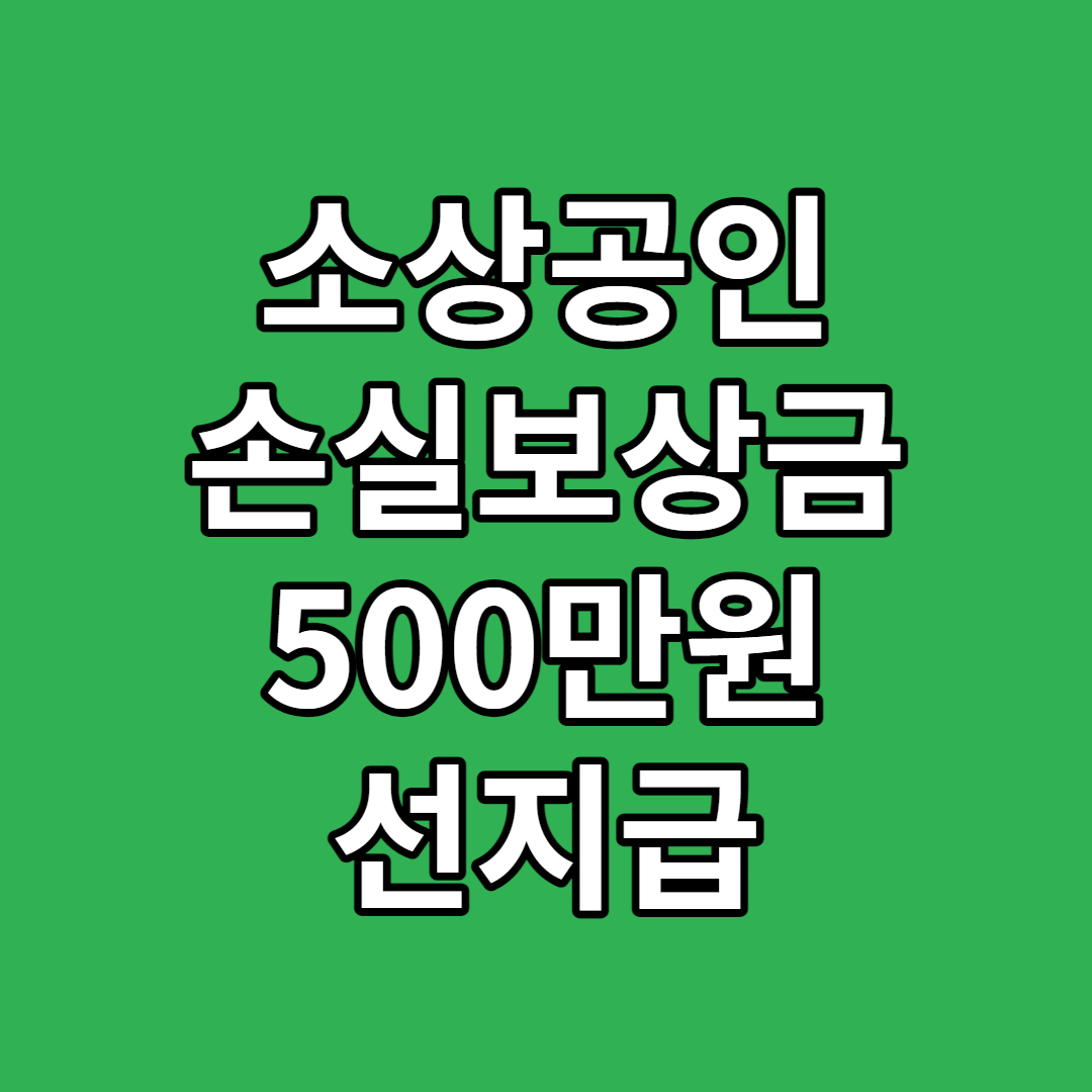 소상공인 손실보상금