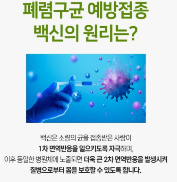 폐렴구균-예방접종