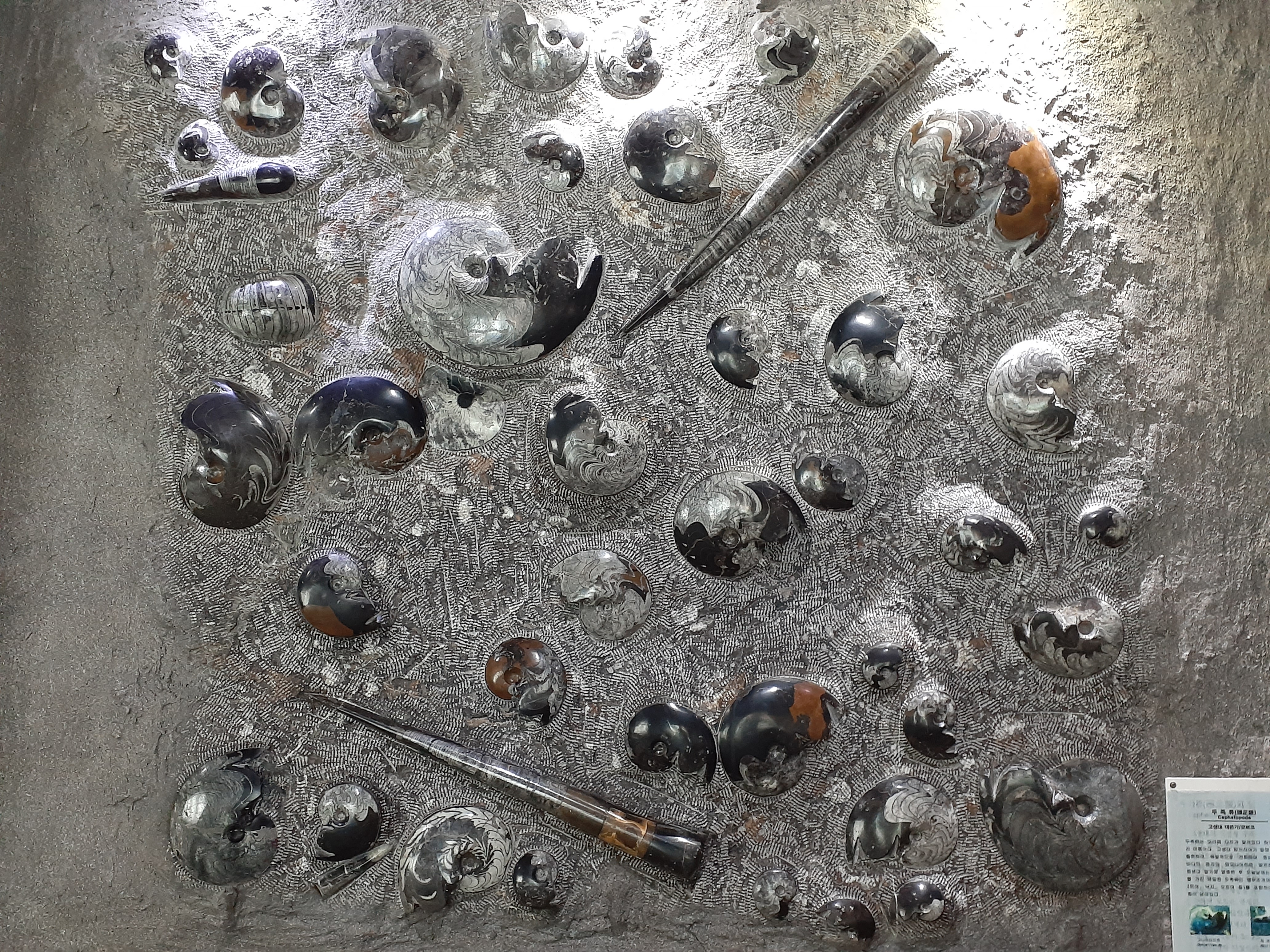 태백석탄박물관