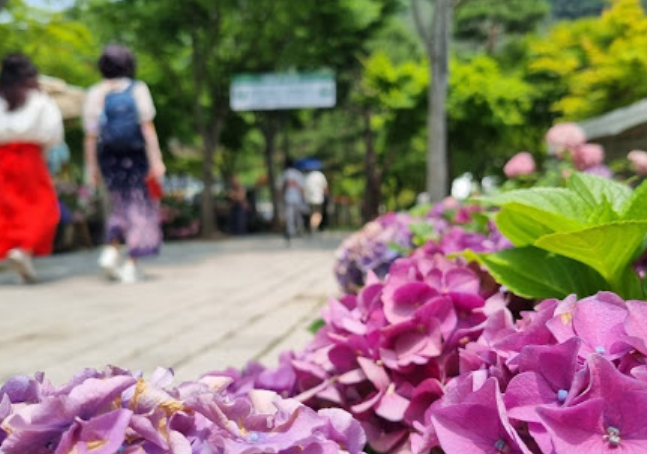 건강보험 환급금, 숨은 돈 찾기