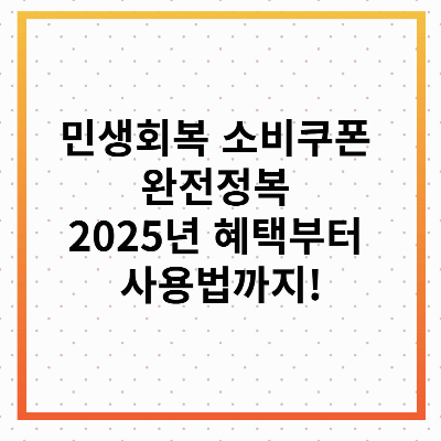 민생회복 소비쿠폰