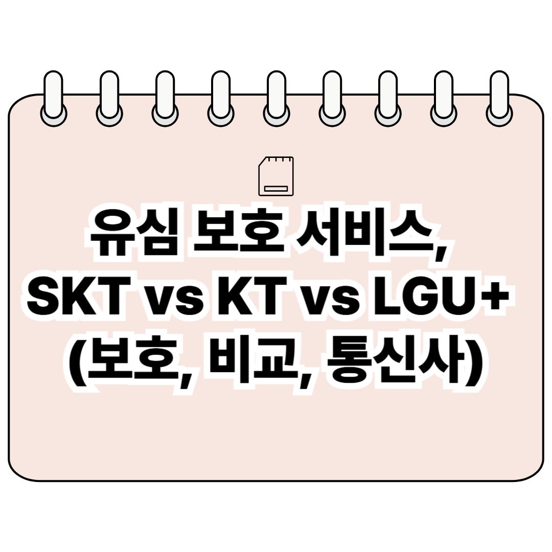 유심 보호 서비스, SKT vs KT vs LGU+ (보호, 비교, 통신사) 포스터